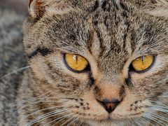 -狼山风景名胜区