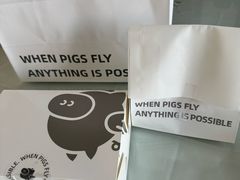 -WHEN PIGS FLY当猪飞