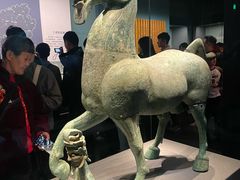 -广西壮族自治区博物馆