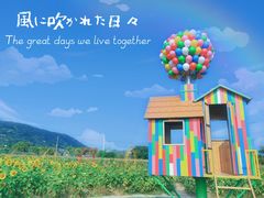 -苏州太湖西山岛开心农场