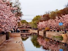 -海棠花溪(元大都城垣遗址公园)