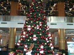 -青岛海尔洲际酒店