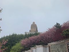 -石岛赤山风景区