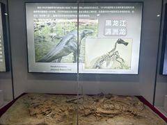 -嘉荫恐龙国家地质公园