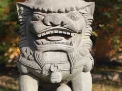 -高旻寺