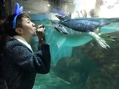 -大连圣亚海洋世界