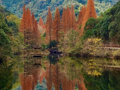 -天明山温泉大酒店