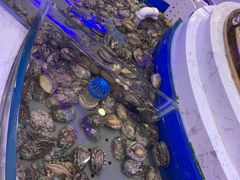 -澜悦港海鲜体验主题餐厅
