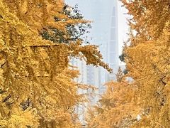 -四川大学(望江校区)