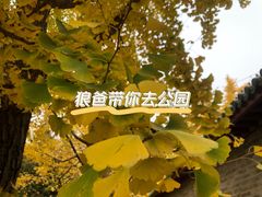 -月坛公园