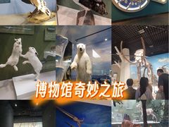 -国家自然博物馆