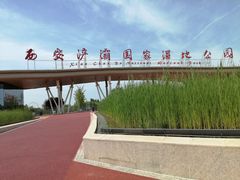 -西安浐灞国家湿地公园