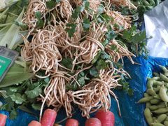 -昆明东站水果交易市场