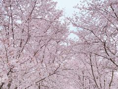 -龙美术馆(西岸馆)