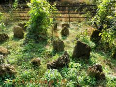 -祁门牯牛降观音堂风景区