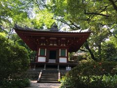 -新高轮格兰王子大酒店