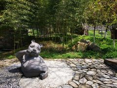 -都江堰中华大熊猫苑