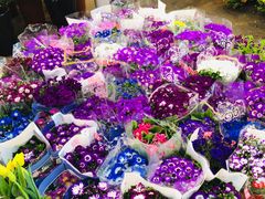 -双季花艺园艺市场(浦东店)