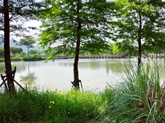 景点-长兴太湖图影湿地文化园
