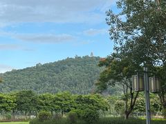 -顺峰山公园