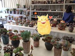 -金陵花卉交易市场