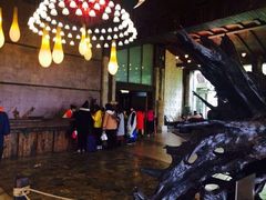 -森波拉火山温泉