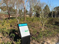 -春花秋色城市公园