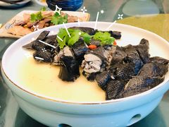 药材浸乌鸡-沙龙酒家