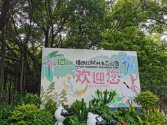-福田红树林生态公园