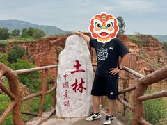 -元谋土林景区(物茂土林)