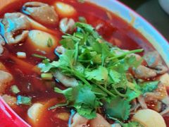 -杨肥肠火锅大排档(火车站花园店)