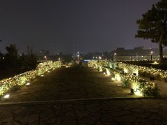 -莫子山公园