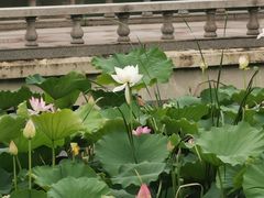 -箸福·夜上海(月牙湖公园店)