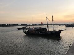 -大湾区中央湿地公园-十九涌