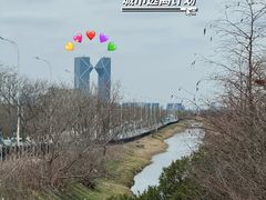 -南汇嘴观海公园