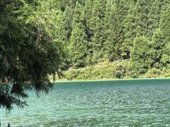 -武陵山森林公园