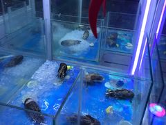 水产区-OPEN開全日自助餐厅·牛肉火锅·海鲜(佛山希尔顿酒店)