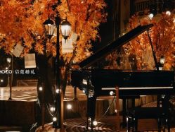 -天邑国际酒店·宴会厅