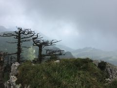 -秦岭风景区