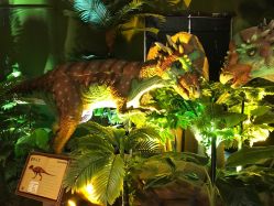 -恐龙探索乐园(磁器口店)