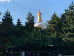 -护国法轮寺