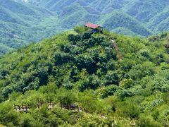 -大岭沟猕猴桃谷风景区