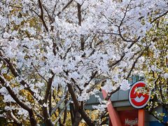 -杨高南路(地铁站)