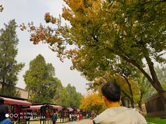 -大雁塔北广场音乐喷泉