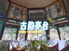 -昆明动物园