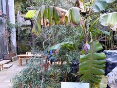 -Metal hands·铁手咖啡