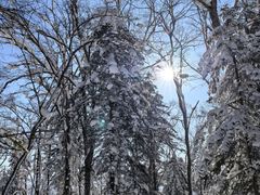 -雪谷