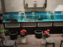 -汉水谣·江景餐厅(江滩店)