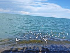 -青海湖国家重点风景名胜区