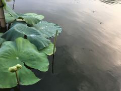 -杭州西湖风景名胜区北街寻梦停车场